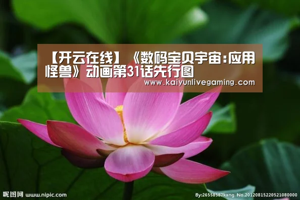 开云娱乐
