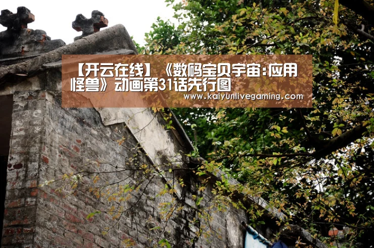 开云官网